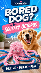 Hoomate Long-Leg Octopus Dog Toy