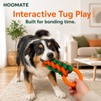 Hoomate Dual-Loop Chew N' Play